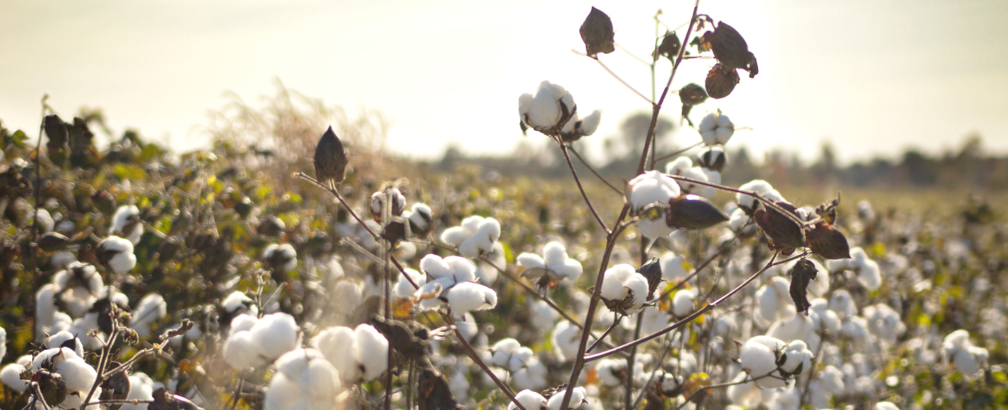 Ralph Lauren Releases 2025 Global Citizenship & Sustainability Report